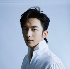 Feng Zi Yi