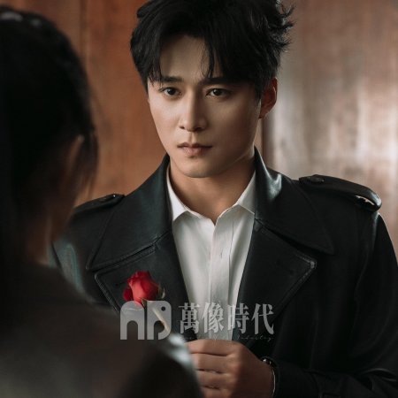 Wen Ruan Mei Gui Lun Wei Ta Xin Jian Pian Chong