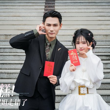 Zao Gao! He Jie Jie Zou Cuo Le