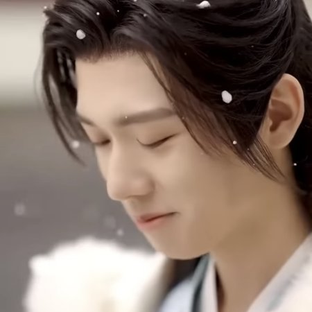Bìng Jiao Fan Pai Gong Lve Jì Hua