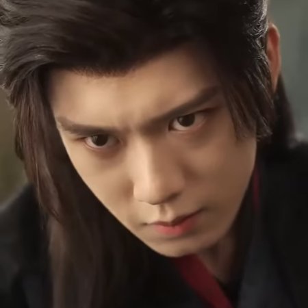 Bìng Jiao Fan Pai Gong Lve Jì Hua