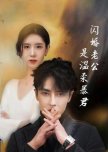 Shan Hun Lao Gong Shi Wen Rou Bao Jun