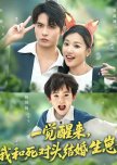 Yi Jiao Xing Lai, Wo He Si Dui Tou Jie Hun Sheng Zai