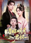 Zhao Zhao Ming Yue Ru Jun Huai