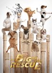 The Big Rescue