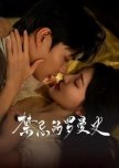 Forbidden Romance