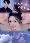 Jin Tian Ye Hen Ke Ai De Mao