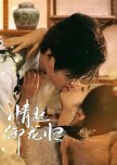 Qing Qi Yu Long Gui