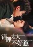 Jin Li Tai Tai Bu Hao Re