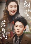 Pian Pian Li Hua Luo Wan Feng