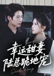 Xing Yun Tian Qi, Lu Zong Gui Di Chong