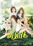 Hi Flower Season 2