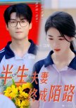 Ban Sheng Fu Qi Zhong Cheng Mo Lu