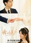 Qia Hao Shi Ni