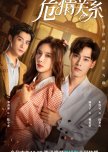 The Dangerous Love