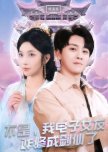 Bu Shi, Wo Dian Zi Nv You Za Xiu Cheng Jian Xian Le