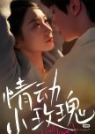 Qing Dong Xiao Mei Gui