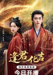 Fortune in Meeting You
