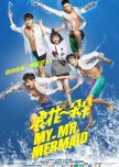 My Mr. Mermaid