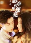 Chong Sheng Zhi Ying Di De Hei Lian Hua