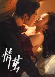 Qing Jian