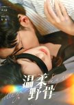 Wen Rou Ye Gu
