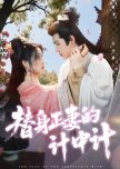 The Plot of the Substitute Wife