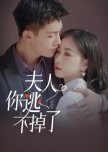 Fu Ren Ni Tao Bu Diao Le