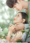 Romance beyond Romance