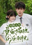 Gong Lve Wu Nian, Jing Cheng Pian Zhi Fan Pai Bai Yue Guang