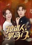 Flirt Wrong, Marry Rich
