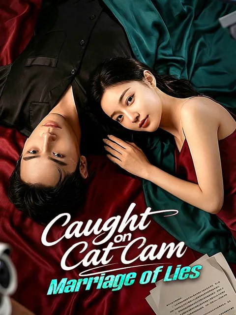 Caught on Cat Cam: Marriage of Lies