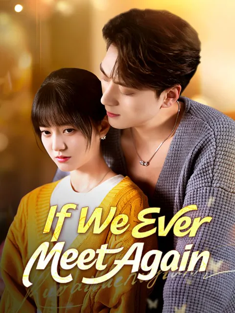 If We Ever Meet Again