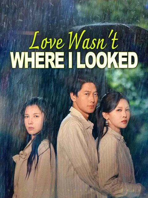 Love Wasn't Where I Looked(DUBBED) 