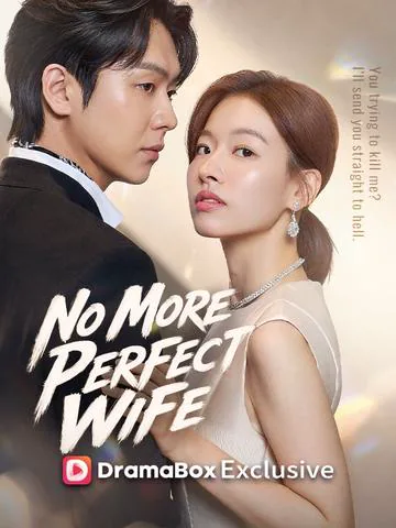 No More Perfect Wife