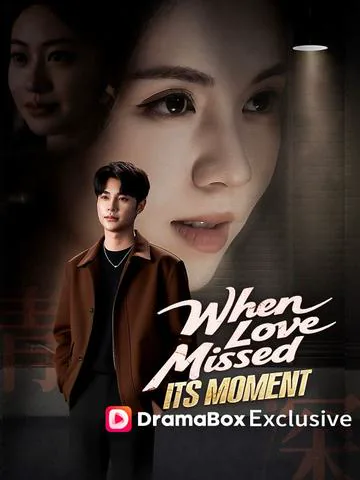 When Love Missed Its Moment（DUBBED）