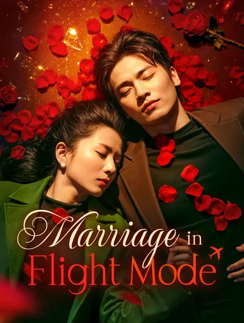 Marriage in Flight Mode