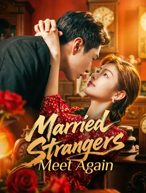Married Strangers Meet Again