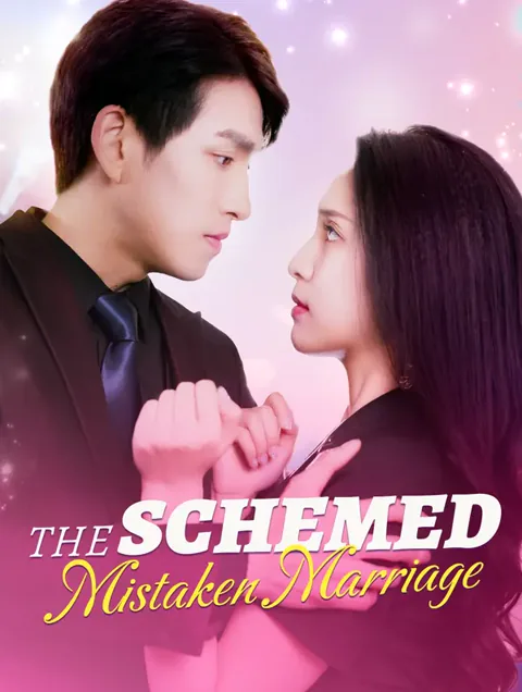 The Schemed Mistaken Marriage