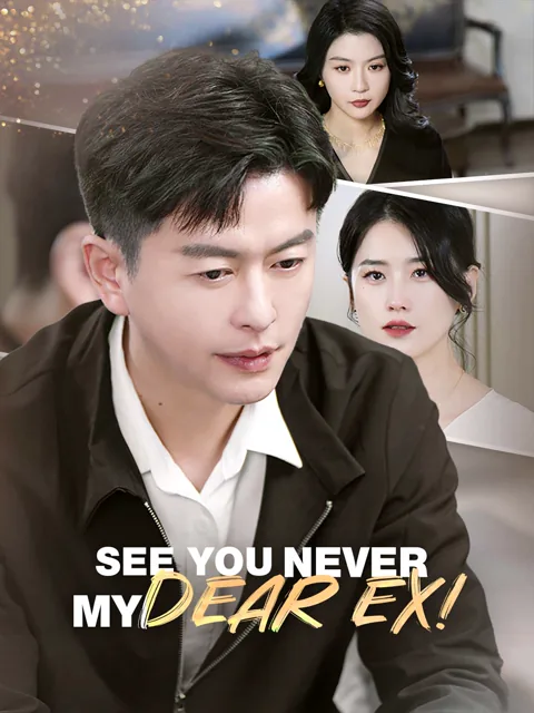 See You Never, My Dear Ex!