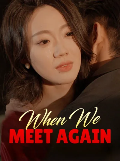 When We Meet Again