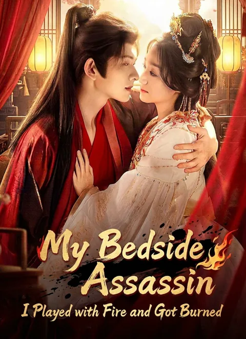 My Bedside Assassin:I Played with Fire and Got Burned
