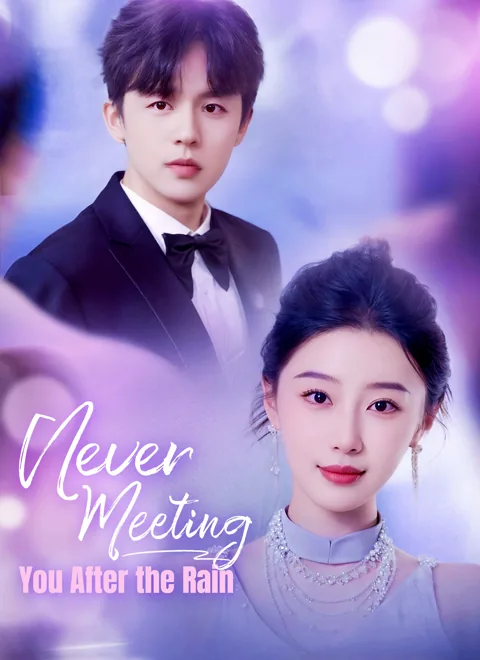 Never Meeting You After the Rain