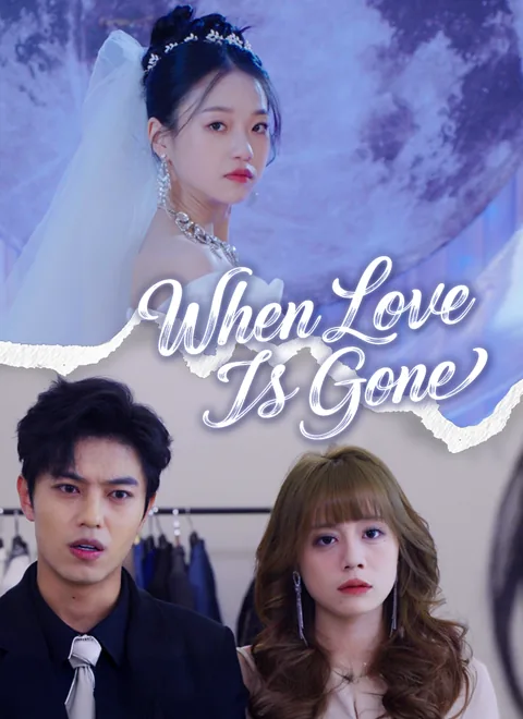 When Love Is Gone