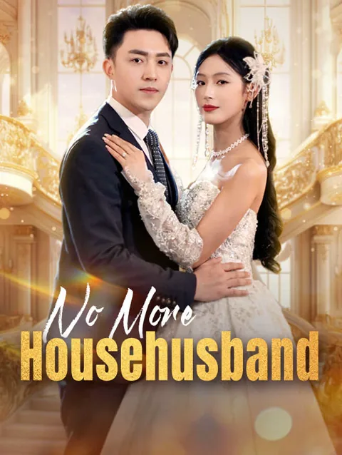 No More Househusband