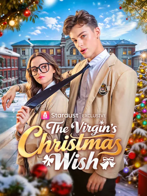The Virgin S Christmas Wish